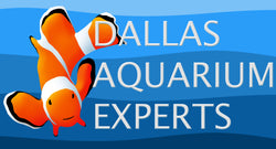 Custom Aquarium Design and Aquarium Service by Dallas Aquarium Experts