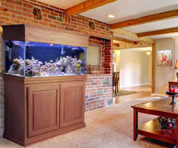 Online Custom Aquarium Sales and Service